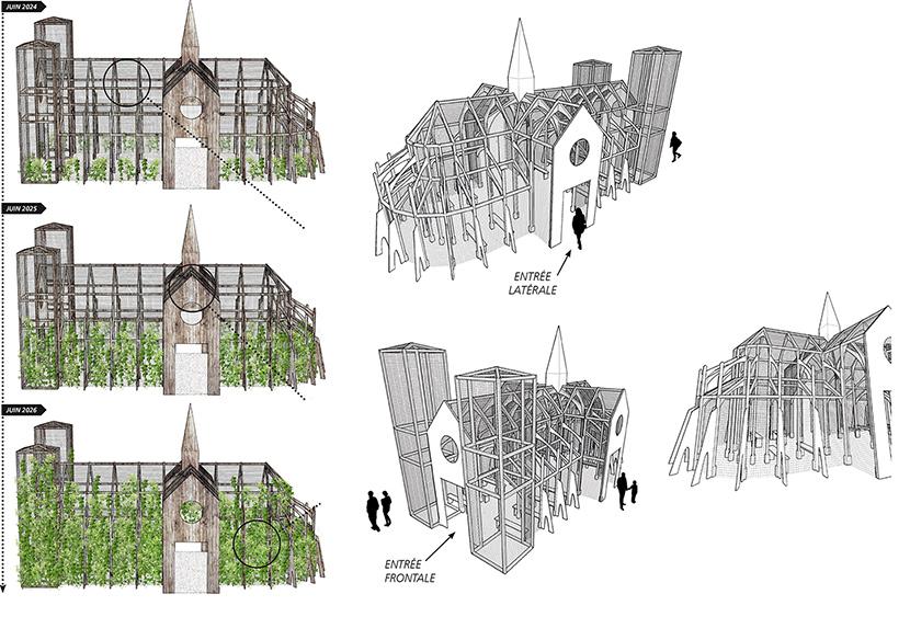 Projet Cathédrale de Vert - Olivier Thomas - Forêt monumentale 2 - Métropole Rouen Normandie
