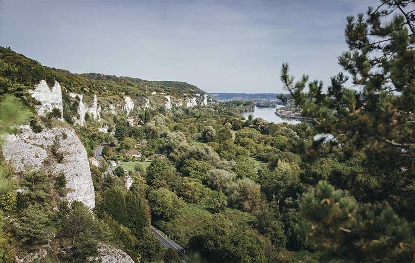 Forêt domaniale de La Londe-Rouvray