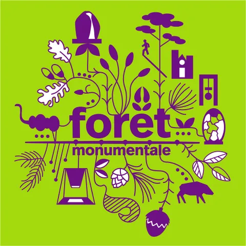 Visuel La Forêt monumentale #2 - Métropole Rouen Normandie