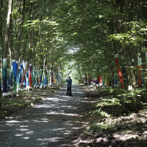 AA_La forêt sacrée@A.AUBRY_Metropole-Rouen-Normandie_10