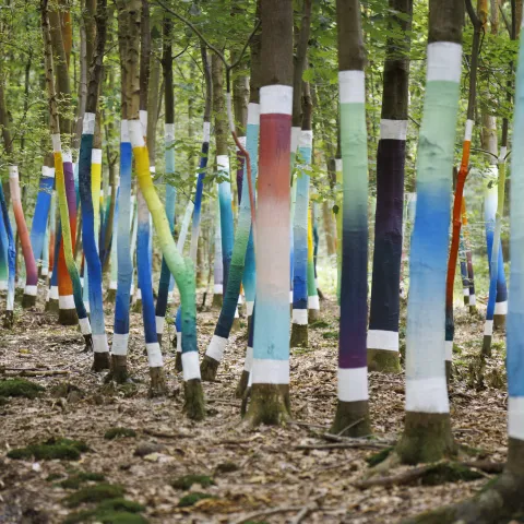 AA_La forêt sacrée@A.AUBRY_Metropole-Rouen-Normandie