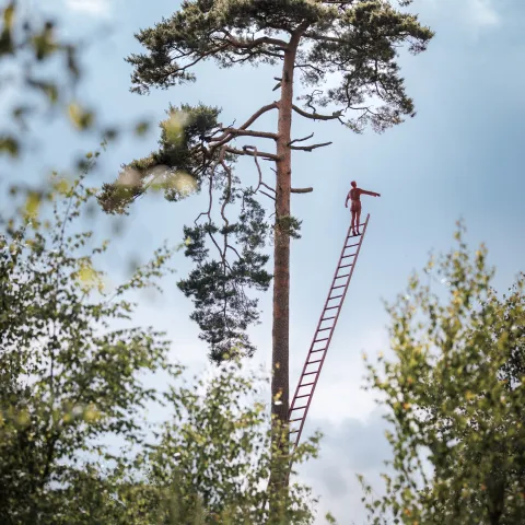 AA_a ladder to heaven@A.AUBRY_Metropole-Rouen-Normandie_10