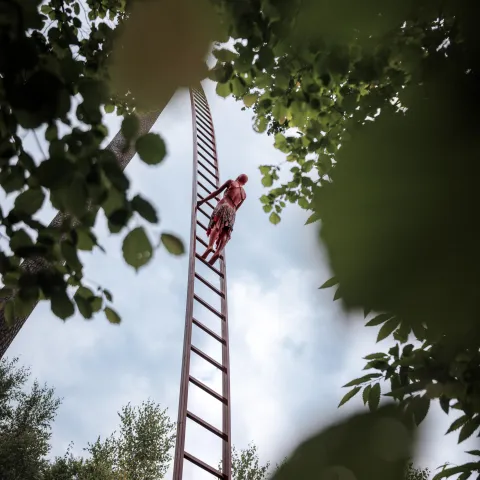 LADDER TO HEAVEN