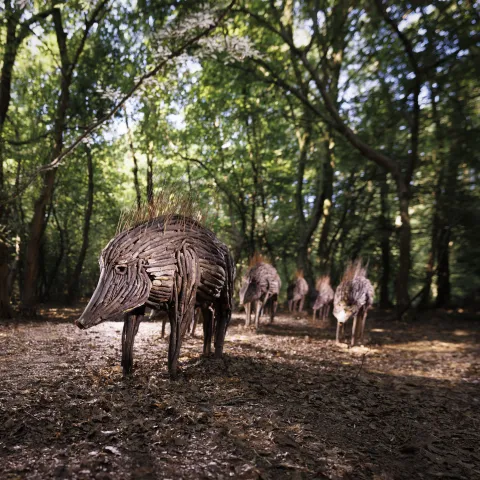 AA_herd@A.AUBRY_Metropole-Rouen-Normandie_05