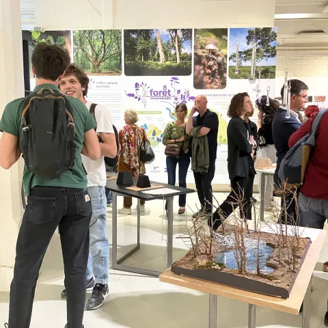 Expo Maison de l'archi