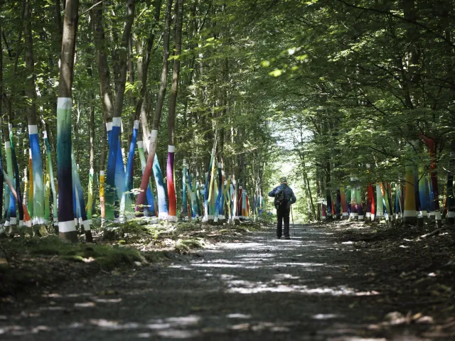 AA_La forêt sacrée@A.AUBRY_Metropole-Rouen-Normandie_05.jpg
