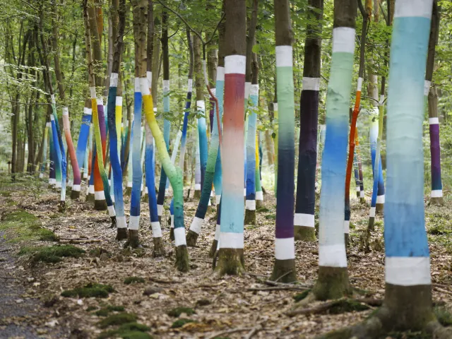 AA_La forêt sacrée@A.AUBRY_Metropole-Rouen-Normandie_07.jpg