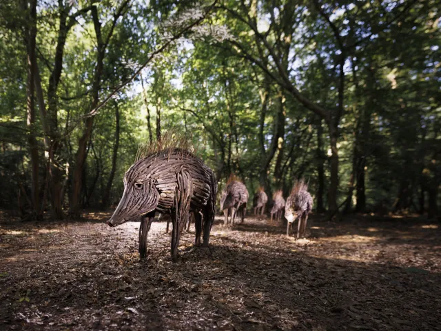 AA_herd@A.AUBRY_Metropole-Rouen-Normandie_01.jpg