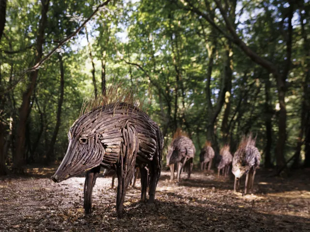 AA_herd@A.AUBRY_Metropole-Rouen-Normandie_02.jpg
