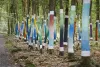 AA_La forêt sacrée@A.AUBRY_Metropole-Rouen-Normandie